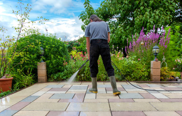 Best Patio and Deck Pressure Washing  in Lecanto, FL